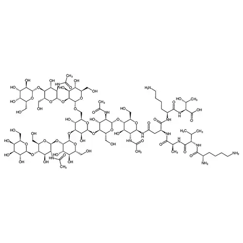 G2-peptide