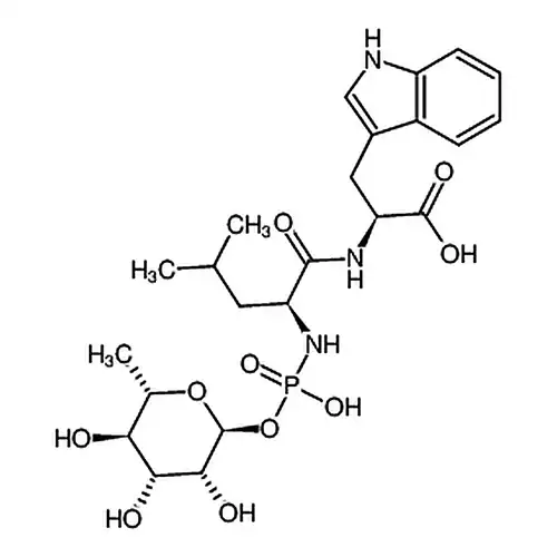 Phosphoramidon