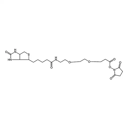 (+)-Biotin-PEG24-NHS Ester