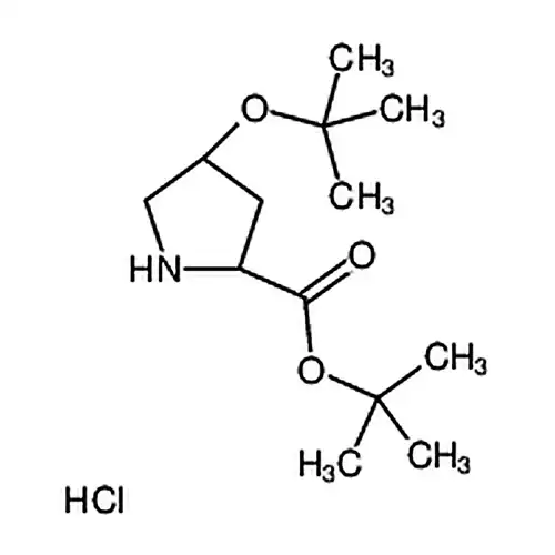 H-Hyp(tBu)-OtBu 塩酸塩