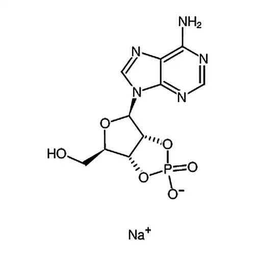 Adenosine 2′:3′-cyclic monophosphate sodium salt