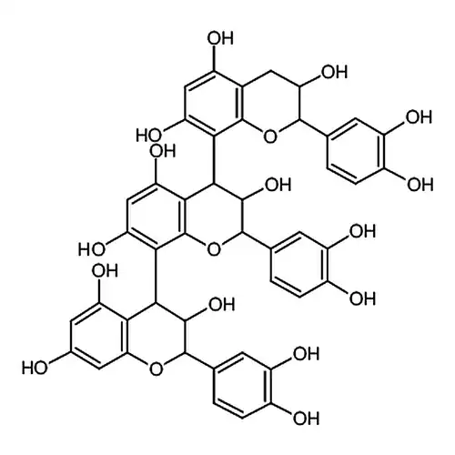 Procyanidin C1
