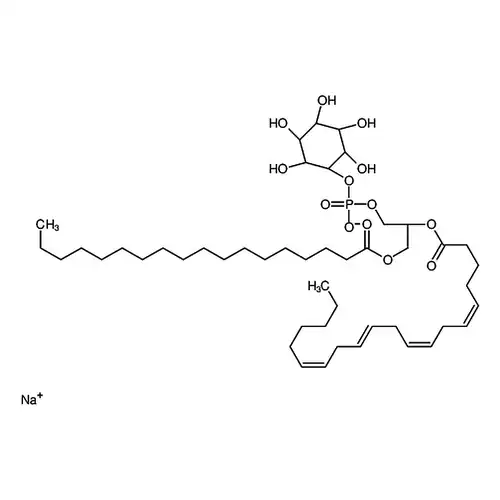 L-α-phosphatidylinositol (Liver, Bovine) (sodium salt)