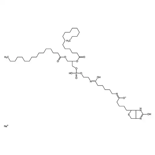 1,2-二棕榈酰基-sn-グリセリン-3-リン酸エタノールアミン-N-(帽生物素)(ナトリウム塩)