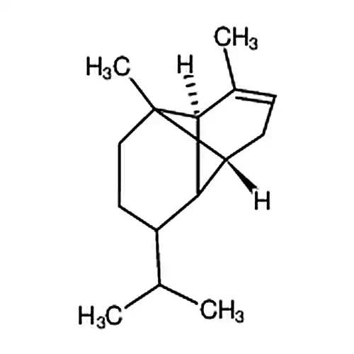 α-蒎エン
