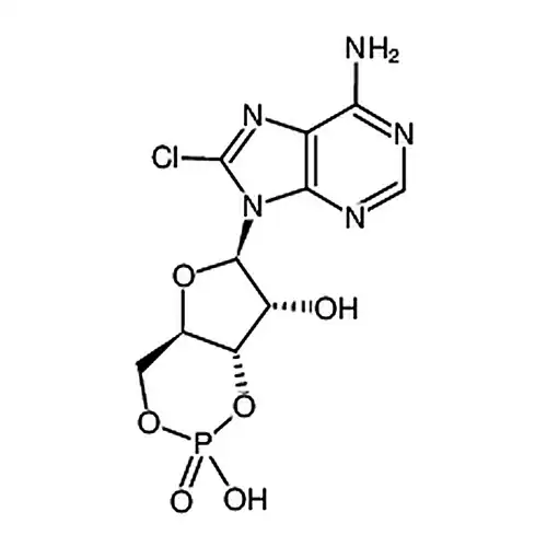 8-塩素腺苷-3'，5'-环状リン酸ナトリウム塩