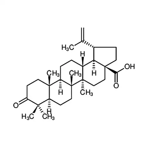 Betulonicacid