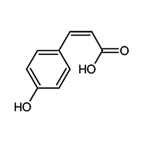 4-ヒドロキシ肉桂酸