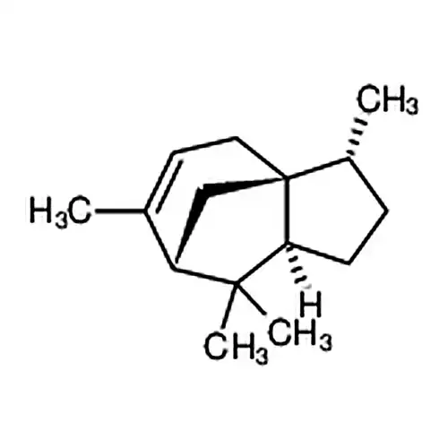 alpha-柏木엔