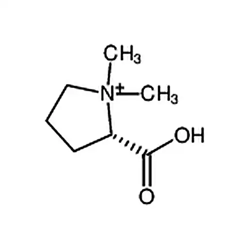 Stachydrine