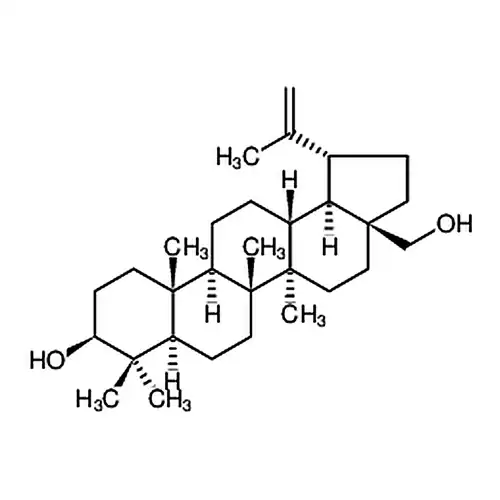 桦木알코올