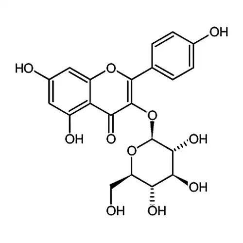kaempferol 3-O-glucoside