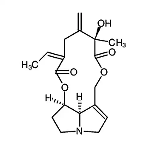 Seneciphylline
