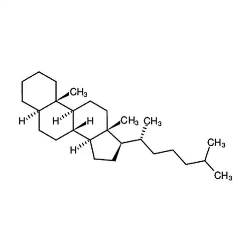 5α-胆甾알칸