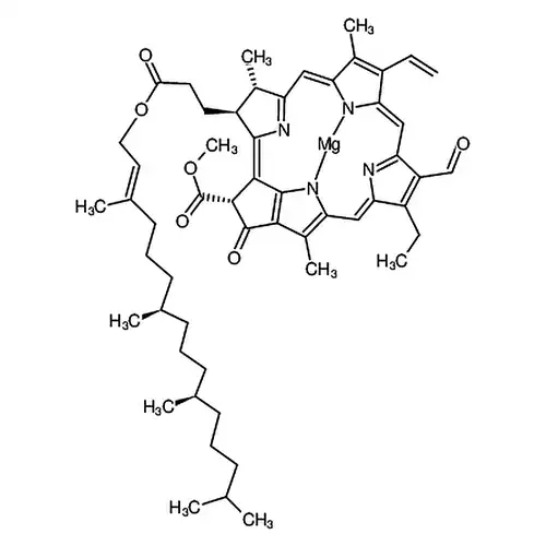 Chlorophyll b