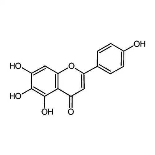 Scutellarein