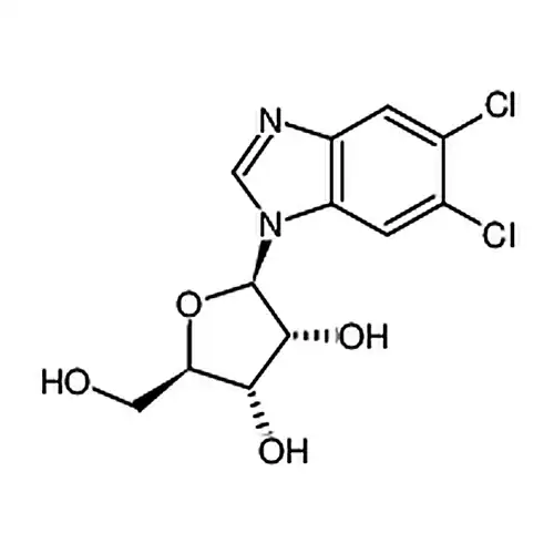 5,6-二염소벤젠并이미다졸1-β-D-次黄퓨린