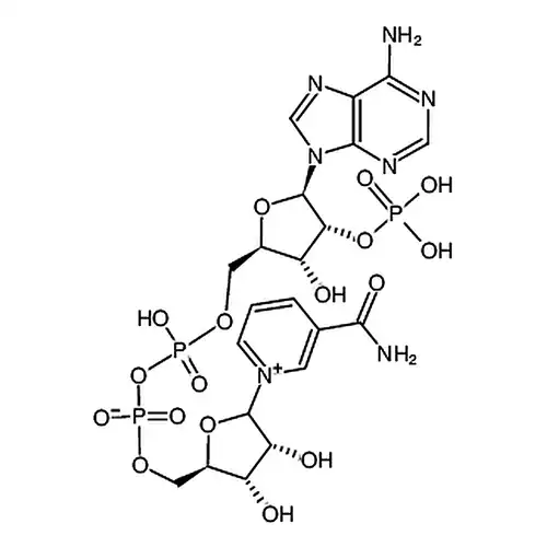 Nicotinic acid adenine dinucleotide phosphate sodium salt