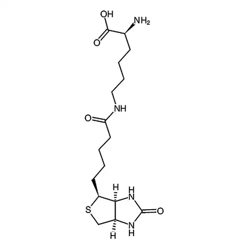 biocytin