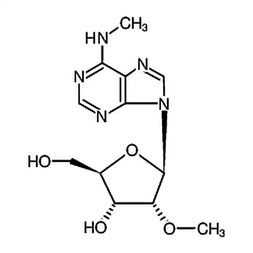 N6-メチル-2'-O-メチル腺苷
