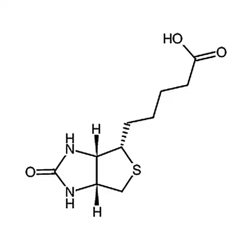 D-Biotin