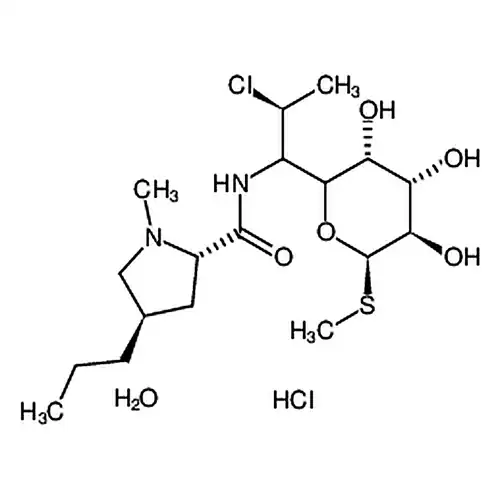 克林霉素塩酸塩 一水和物