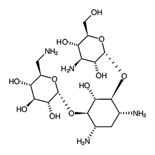 Kanamycin A
