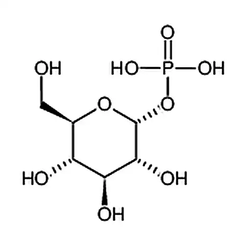 α-D-Glucose 1-phosphate