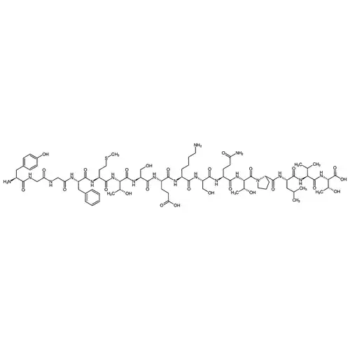 α-Endorphin human