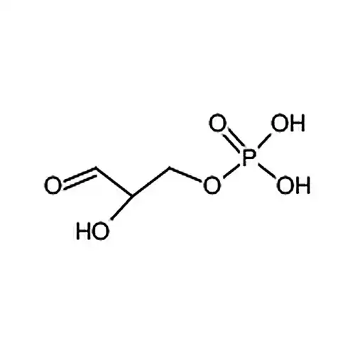 D-グリセリンアルデヒド3-リン酸塩水溶液
