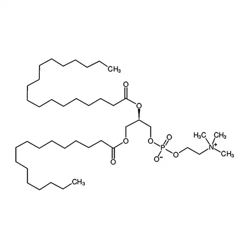 1-棕榈酰基-2-硬脂酰基-sn-グリセリン-3-リン酸胆碱