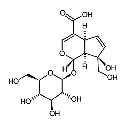 Monotropein
