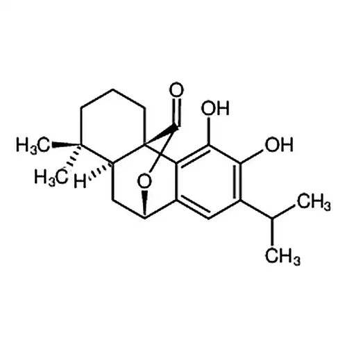鼠尾草фенол