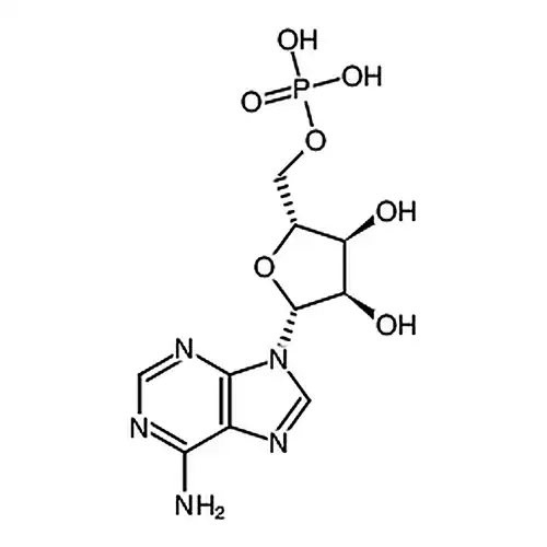5''-腺苷单リン酸一水和物