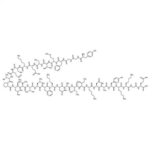 β-Endorphin, human