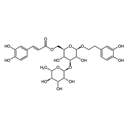 Isoacteoside