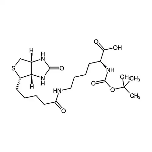 N-叔ブチル酸素羰基-N'-生物素-l-赖氨酸
