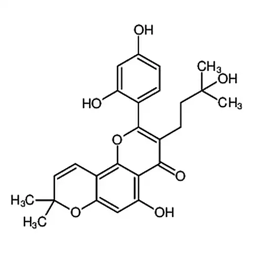 桑根皮알코올