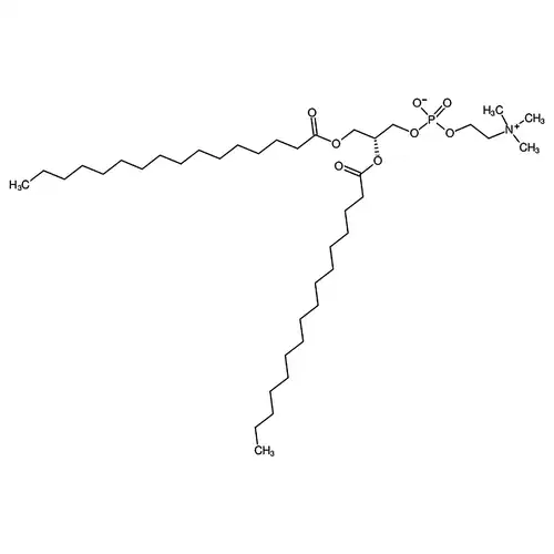 1,2-二棕榈酰-sn-グリセリン-3-リン酰胆碱