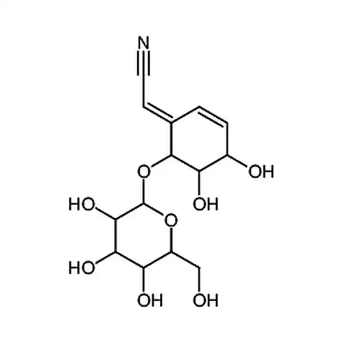 Lithosprmoside
