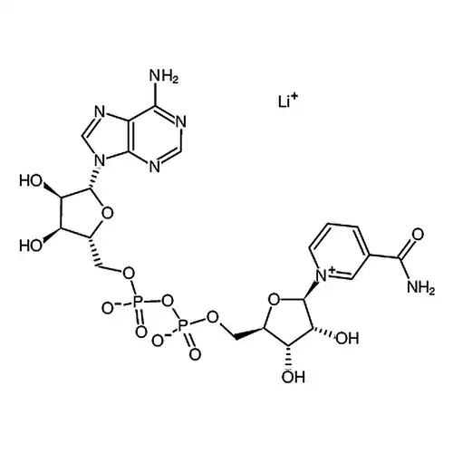 Β-菸鹼醯амин腺пурин二核苷кислота