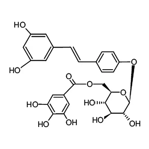 白藜芦アルコール-4'-O-β-D-(6''-O-没食子酰)ブドウ糖苷