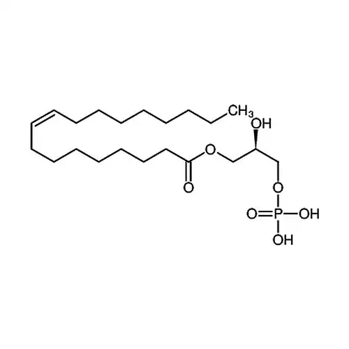 1-油酰基溶血リン脂酸