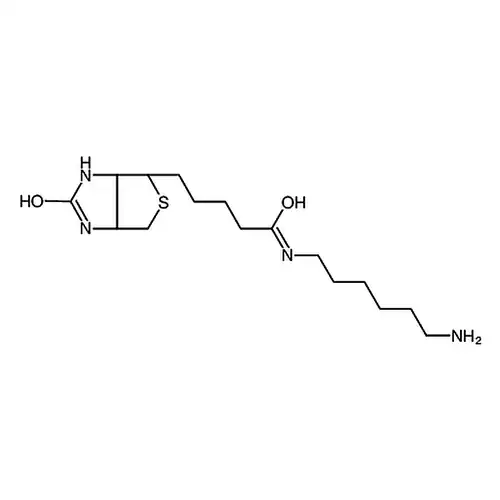 N-生物素基-1，6-ヘキシル二アミン