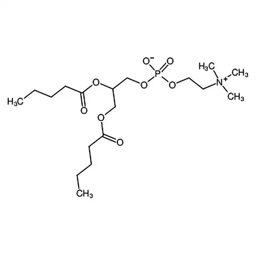 1,2-二ペンチル酰基-sn-グリセリン-3-リン酸胆碱