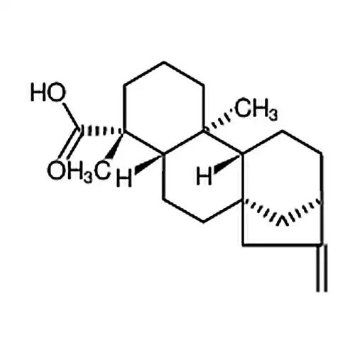 异贝壳杉エン酸