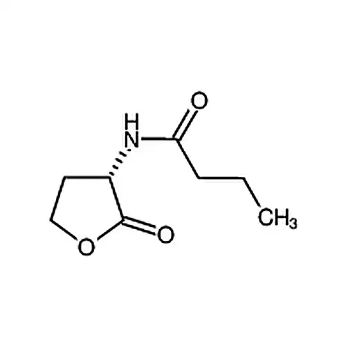 N-ブチリル-L-高丝氨酸内エステル