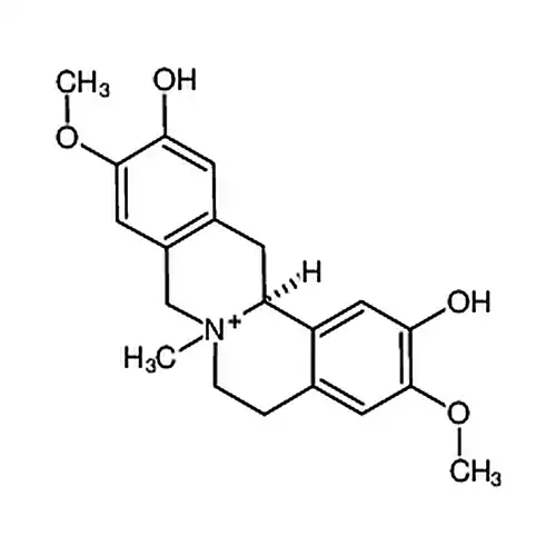 phellodendrine