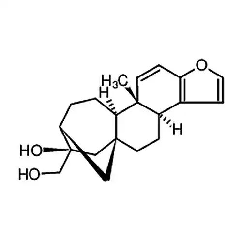 咖啡豆알코올