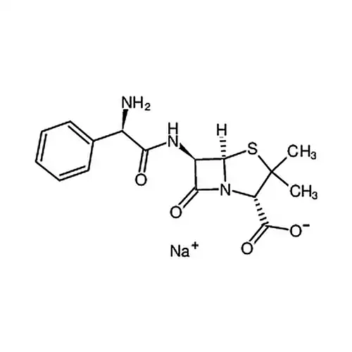 Ampicillin Solution